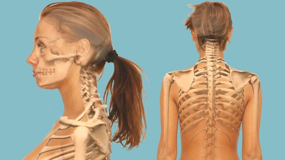 A coluna cervical