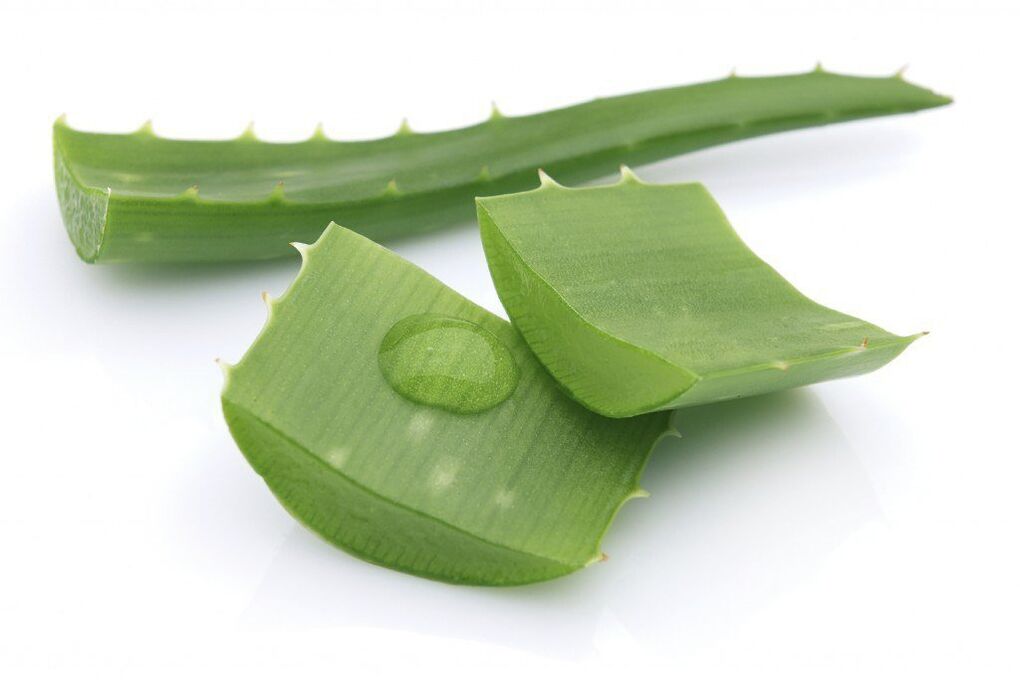 aloe vera para o tratamento da osteocondrose torácica